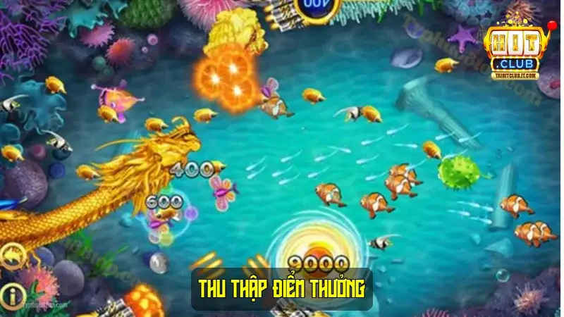 Thu thập điểm thưởng