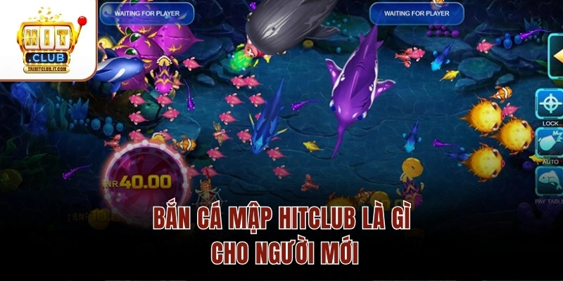 Bắn cá Mập Hitclub là gì cho người mới