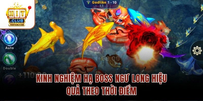 Kinh nghiệm hạ boss Ngư Long hiệu quả theo thời điểm