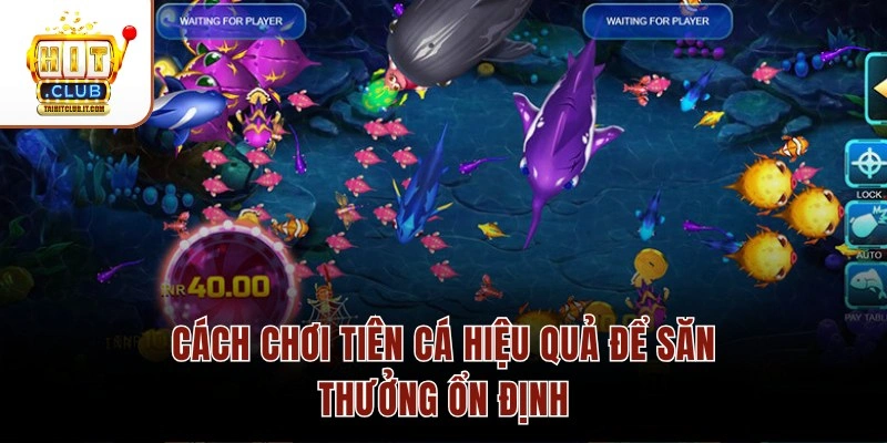 Cách chơi Tiên Cá hiệu quả để săn thưởng ổn định