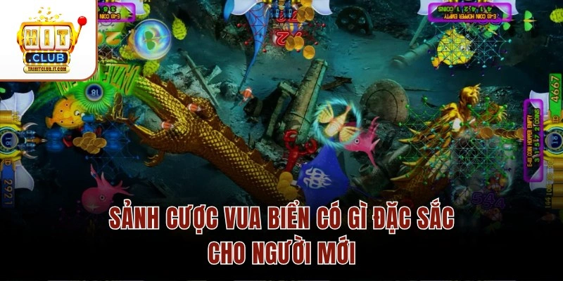 Sảnh cược Vua Biển có gì đặc sắc cho người mới