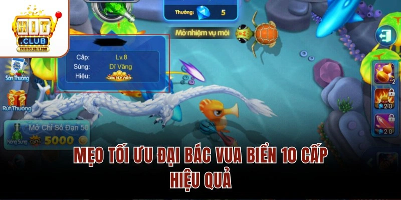 Mẹo tối ưu đại bác Vua Biển 10 cấp hiệu quả